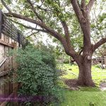 1 Madang Avenue, BALWYN, VIC 3103 AUS