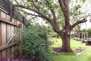 1 Madang Avenue, BALWYN, VIC 3103 AUS