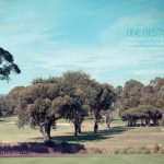 109/1 Neil Court, BLACKBURN SOUTH, VIC 3130 AUS