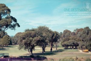 109/1 Neil Court, BLACKBURN SOUTH, VIC 3130 AUS