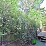3/38 Boronia Grove, DONCASTER EAST, VIC 3109 AUS
