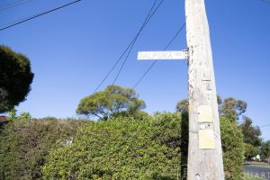 1 Dalpura Drive, BAYSWATER, VIC 3153 AUS