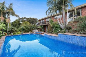 40 Caithness Crescent, GLEN WAVERLEY, VIC 3150 AUS