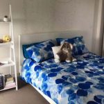 1315/8 Marmion Place, DOCKLANDS, VIC 3008 AUS