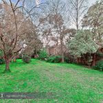 5 Belmont Street, SURREY HILLS, VIC 3127 AUS