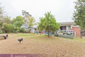 3 Anne Road, KNOXFIELD, VIC 3180 AUS
