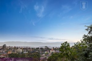 113 Mountain View Road, BALWYN NORTH, VIC 3104 AUS