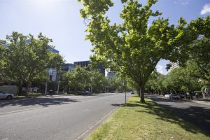 1105/499 St Kilda Road, MELBOURNE, VIC 3004 AUS